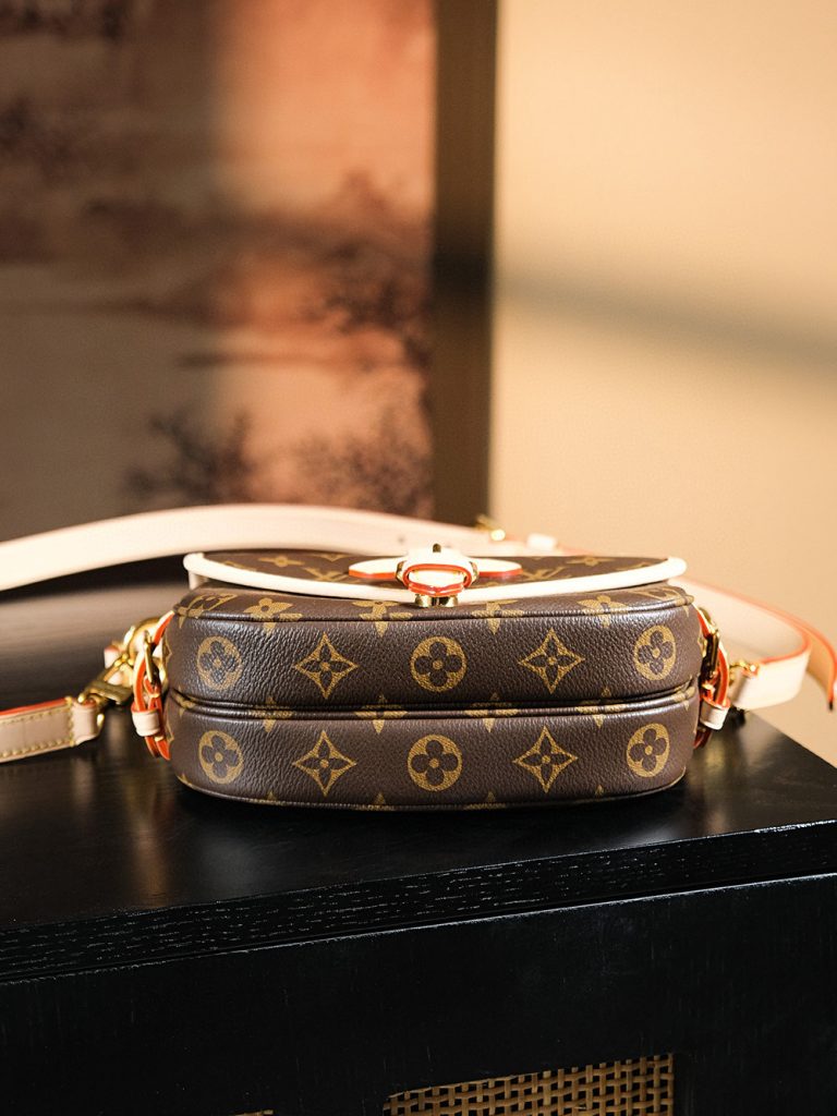 LV Saumur BB