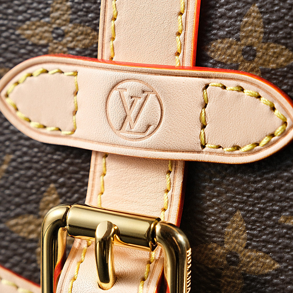 LV Saumur BB