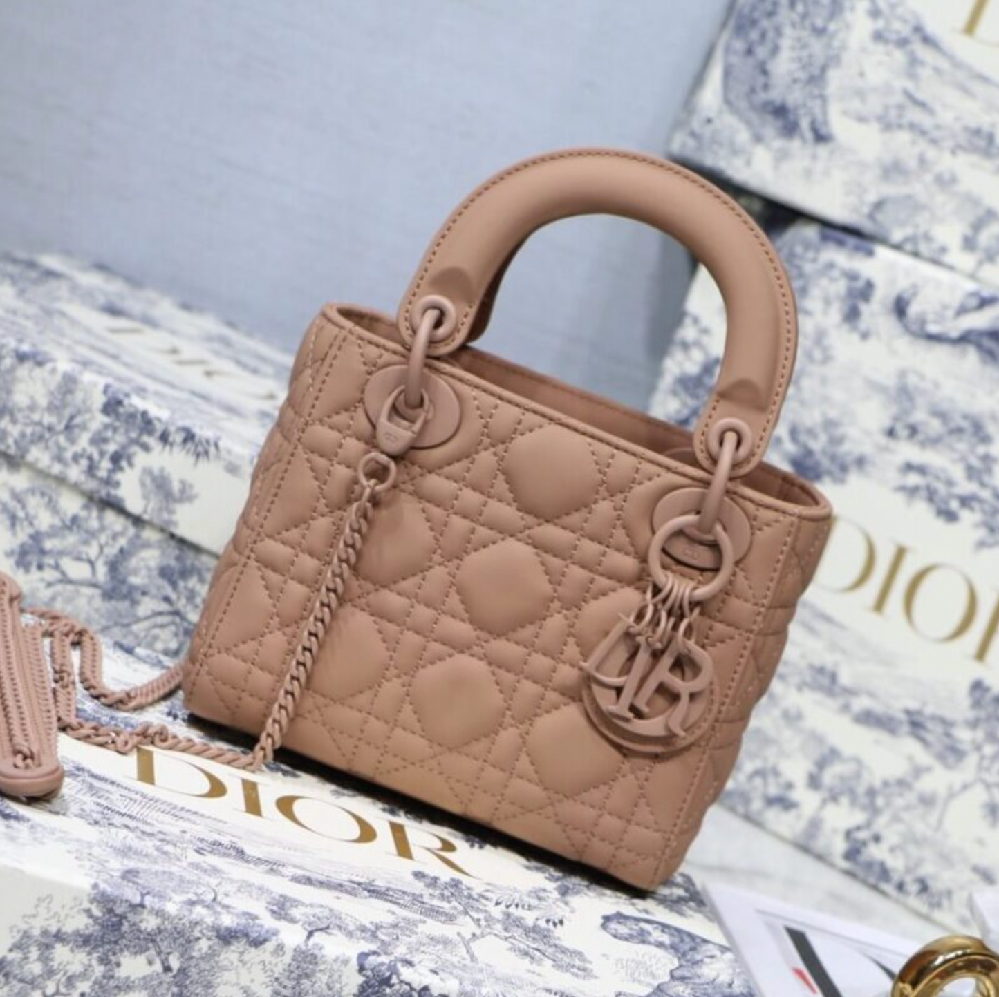 Mini Lady D Ultra Matte Bag