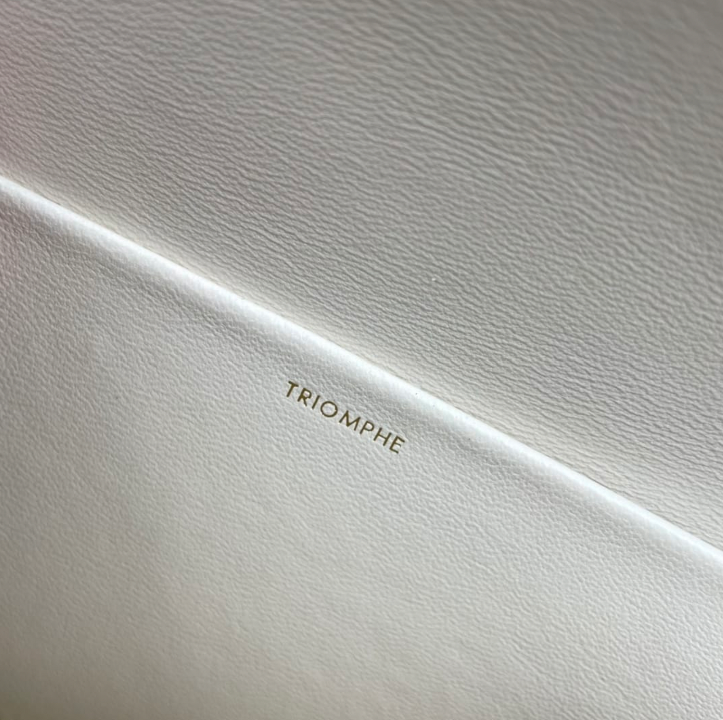 Triomphe Shoulder Bag In Shiny Calfskin