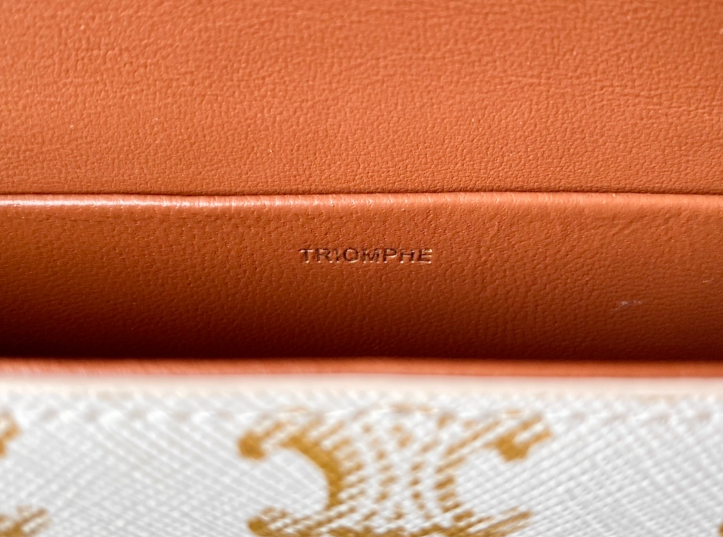 Shoulder Bag In Triomphe Canvas And Calfskin