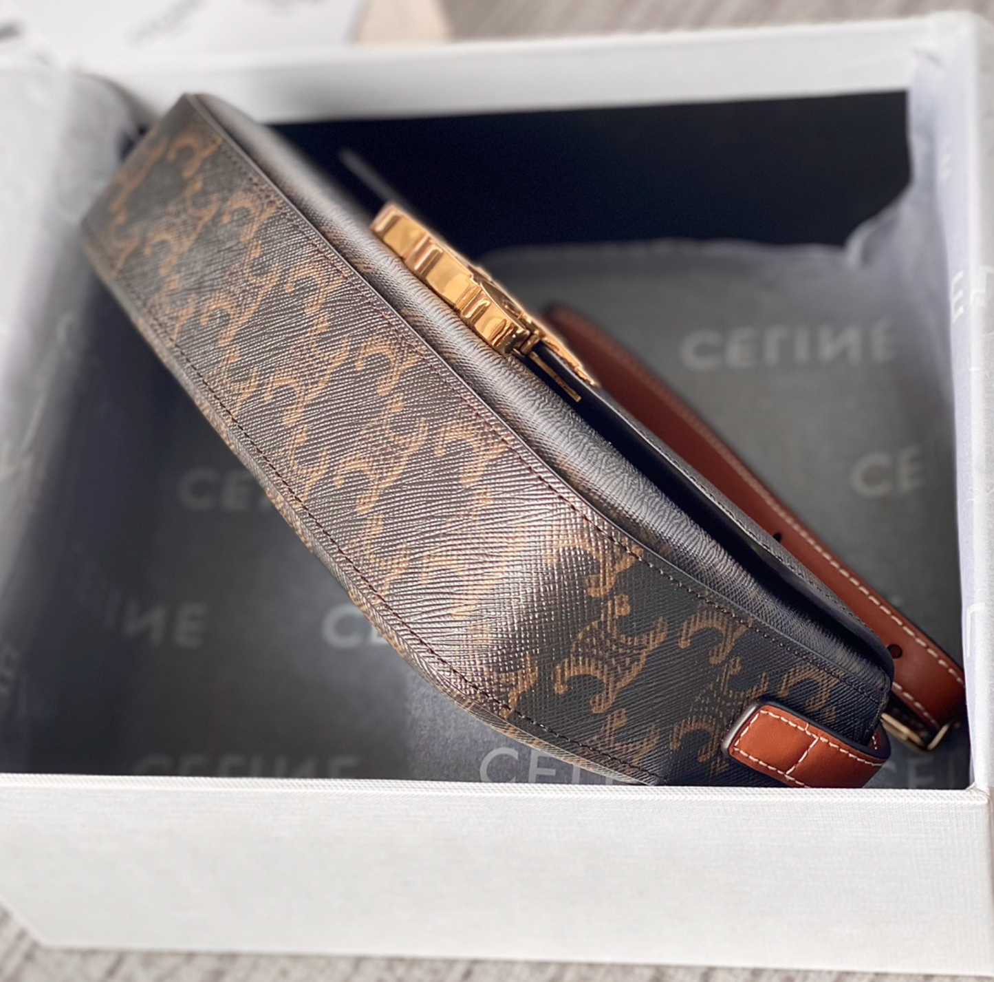 Shoulder Bag In Triomphe Canvas And Calfskin