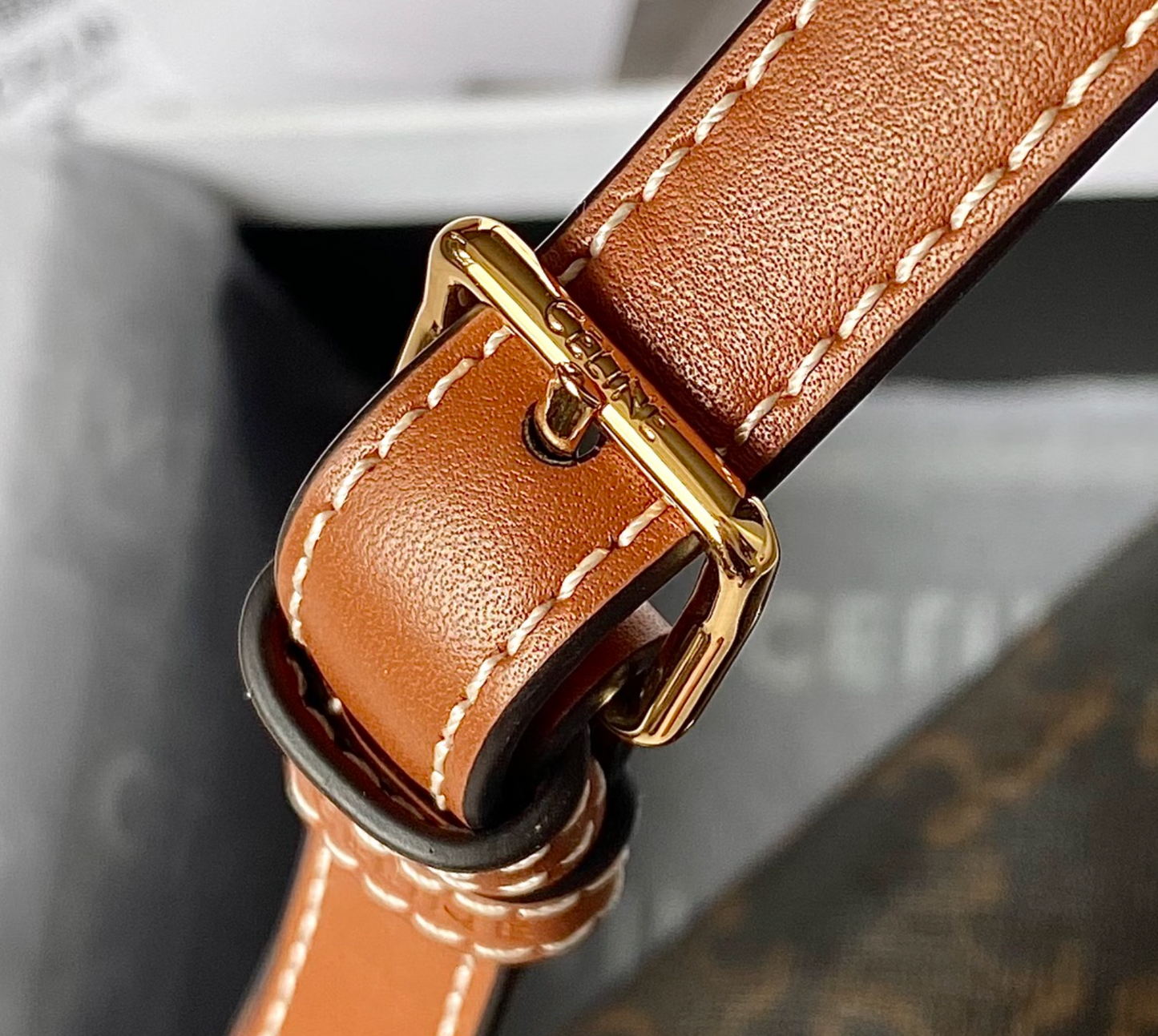 Shoulder Bag In Triomphe Canvas And Calfskin