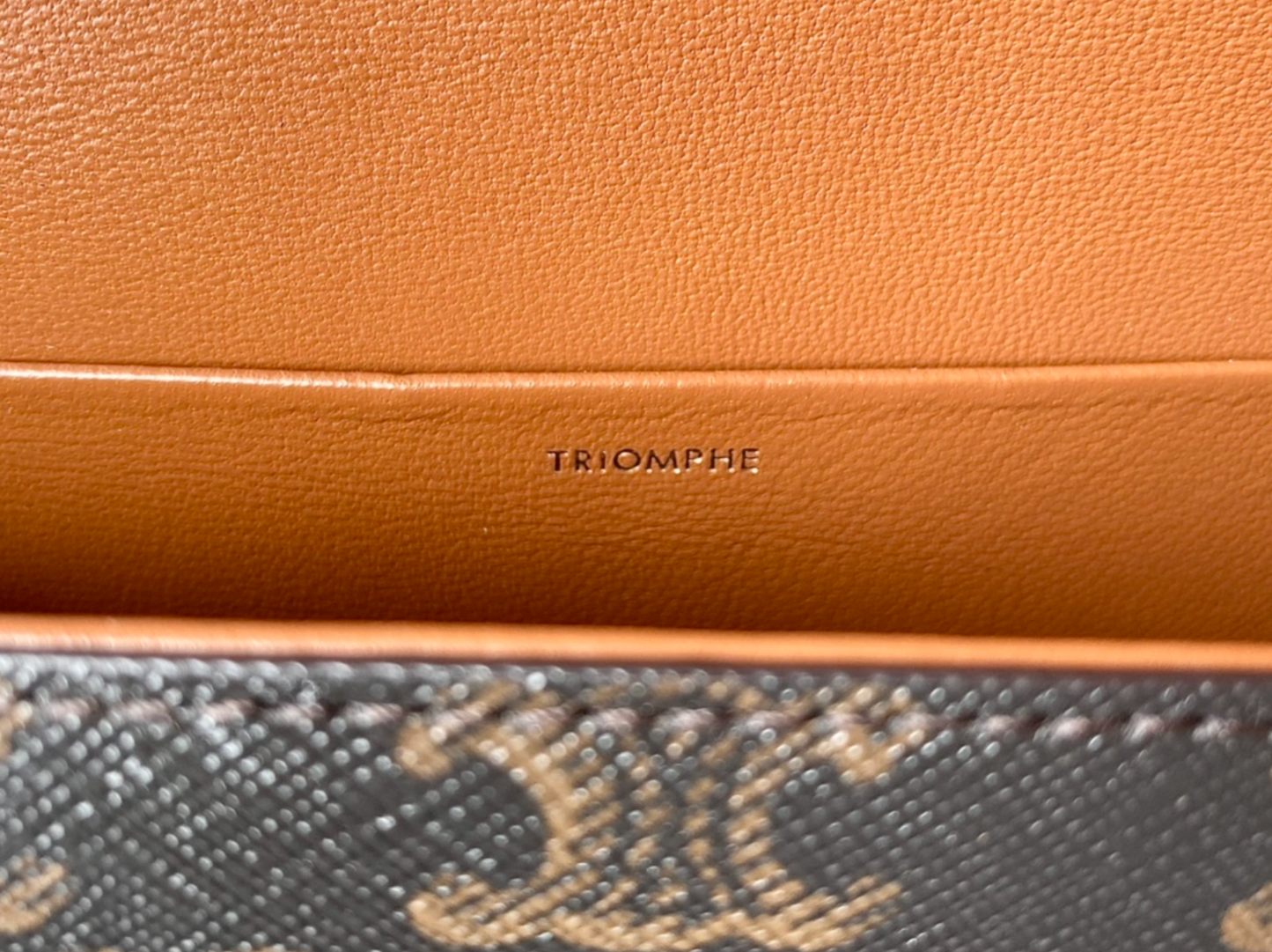 Shoulder Bag In Triomphe Canvas And Calfskin