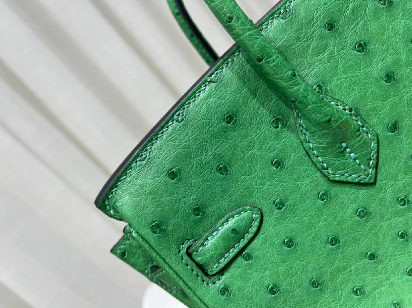 H Birkin Ostrich Leather Handbag Green