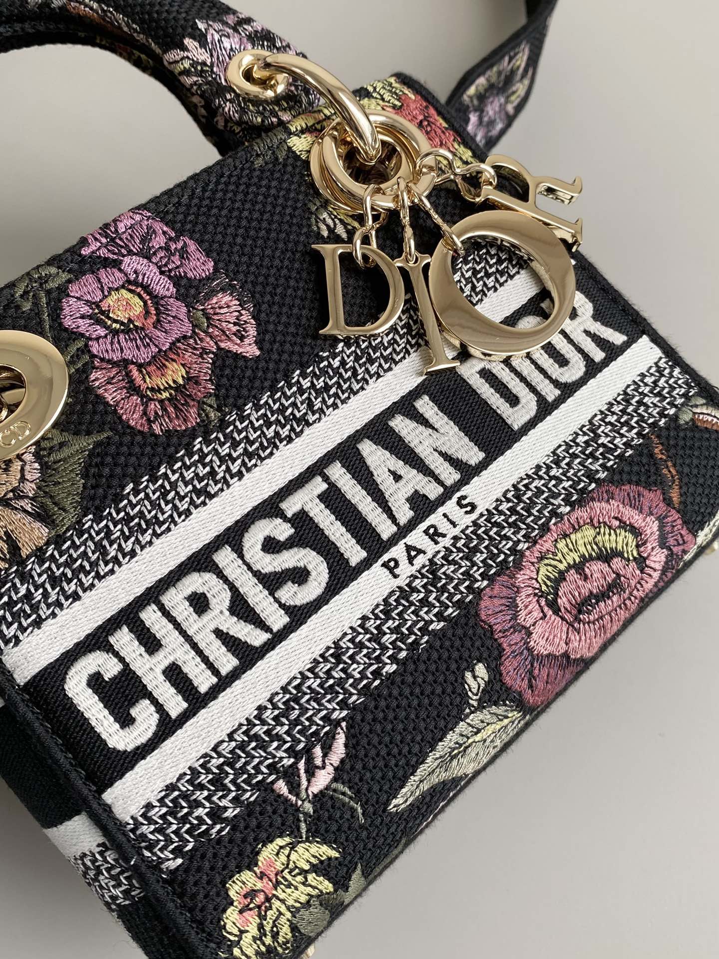 Mini Lady D-Lite Bag Multicolor Jardin Botanique Embroidery