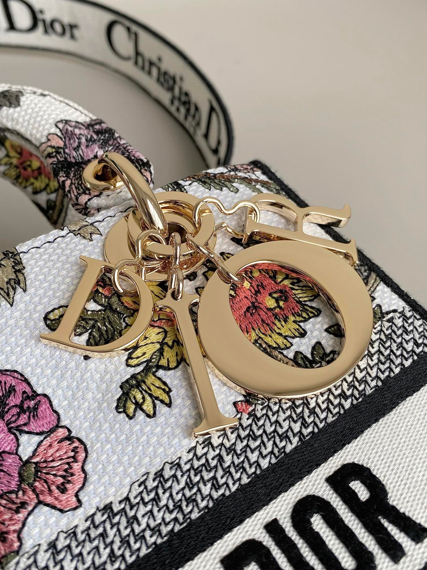 DIOR Medium Lady D-Lite Bag Multicolor Dior Jardin Botanique Embroidery