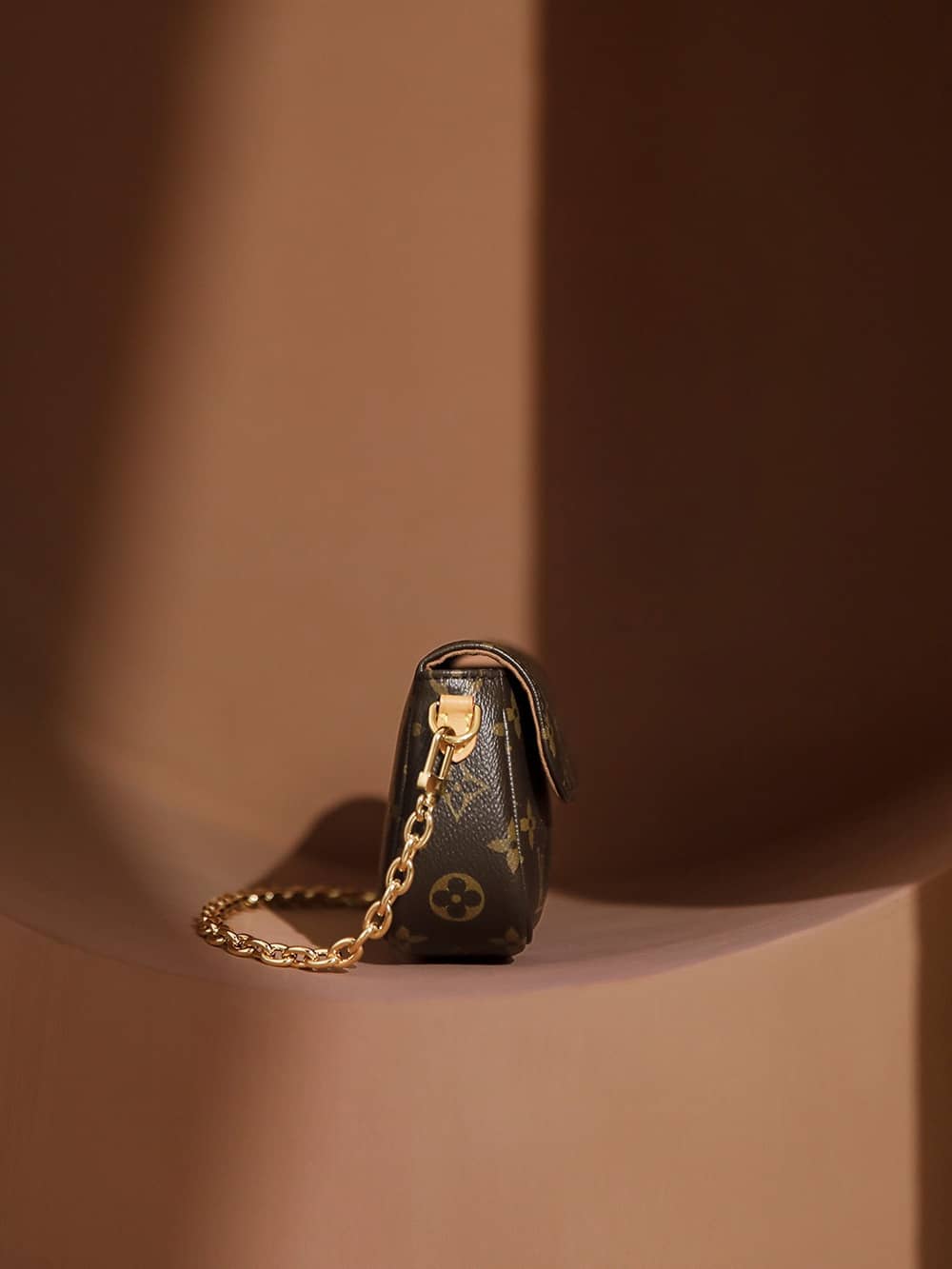 LOUIS VUITTON Wallet on Chain Ivy