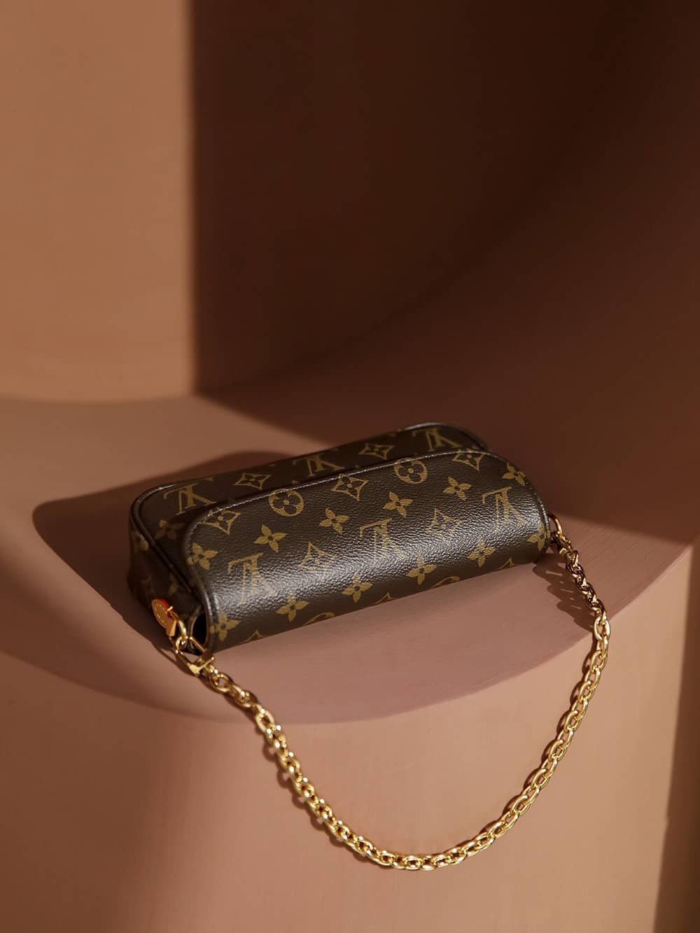 LOUIS VUITTON Wallet on Chain Ivy