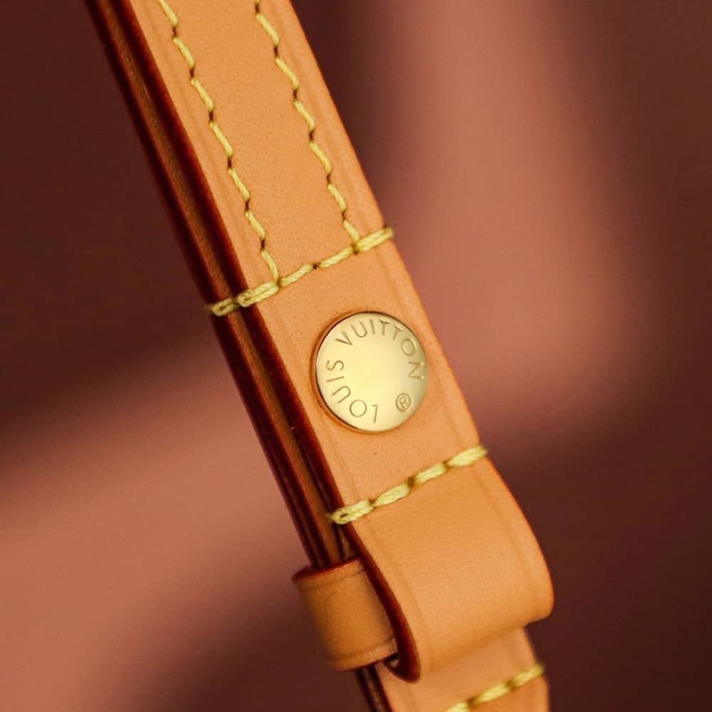 LOUIS VUITTON Wallet on Chain Ivy