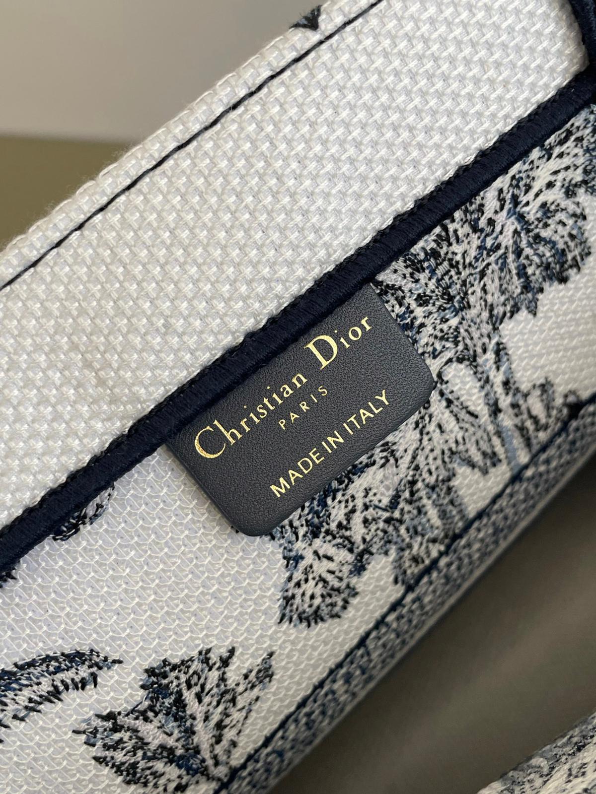 D Riviera Book Tote White and Blue Toile de Jouy Palms Embroidery