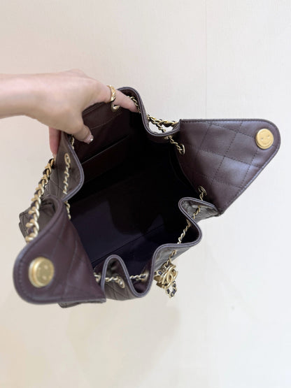 CC 25 Small Hobo Bag Chocolate Burgundy