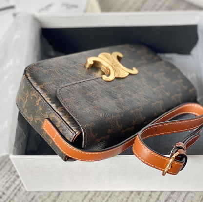 Shoulder Bag In Triomphe Canvas And Calfskin