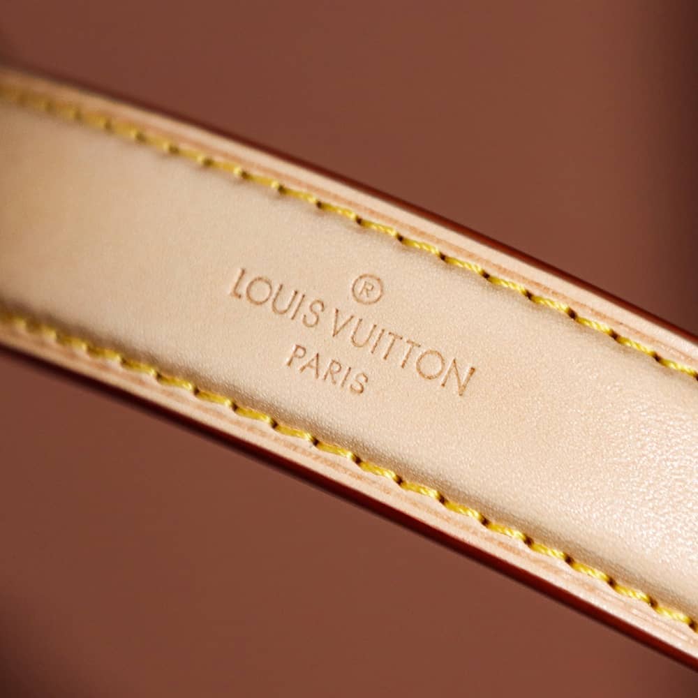 LV NéoNoé BB Monogram