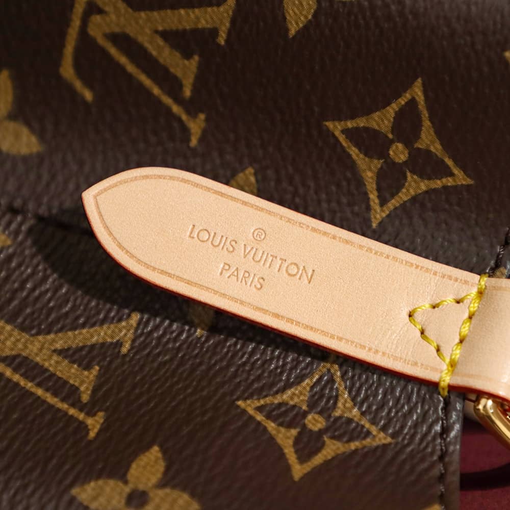 LV NéoNoé BB Monogram