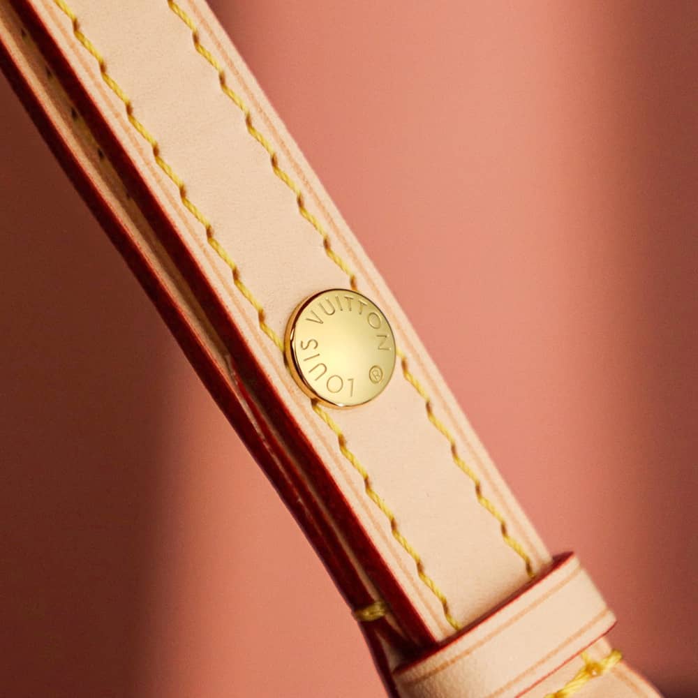 LV NéoNoé BB Monogram