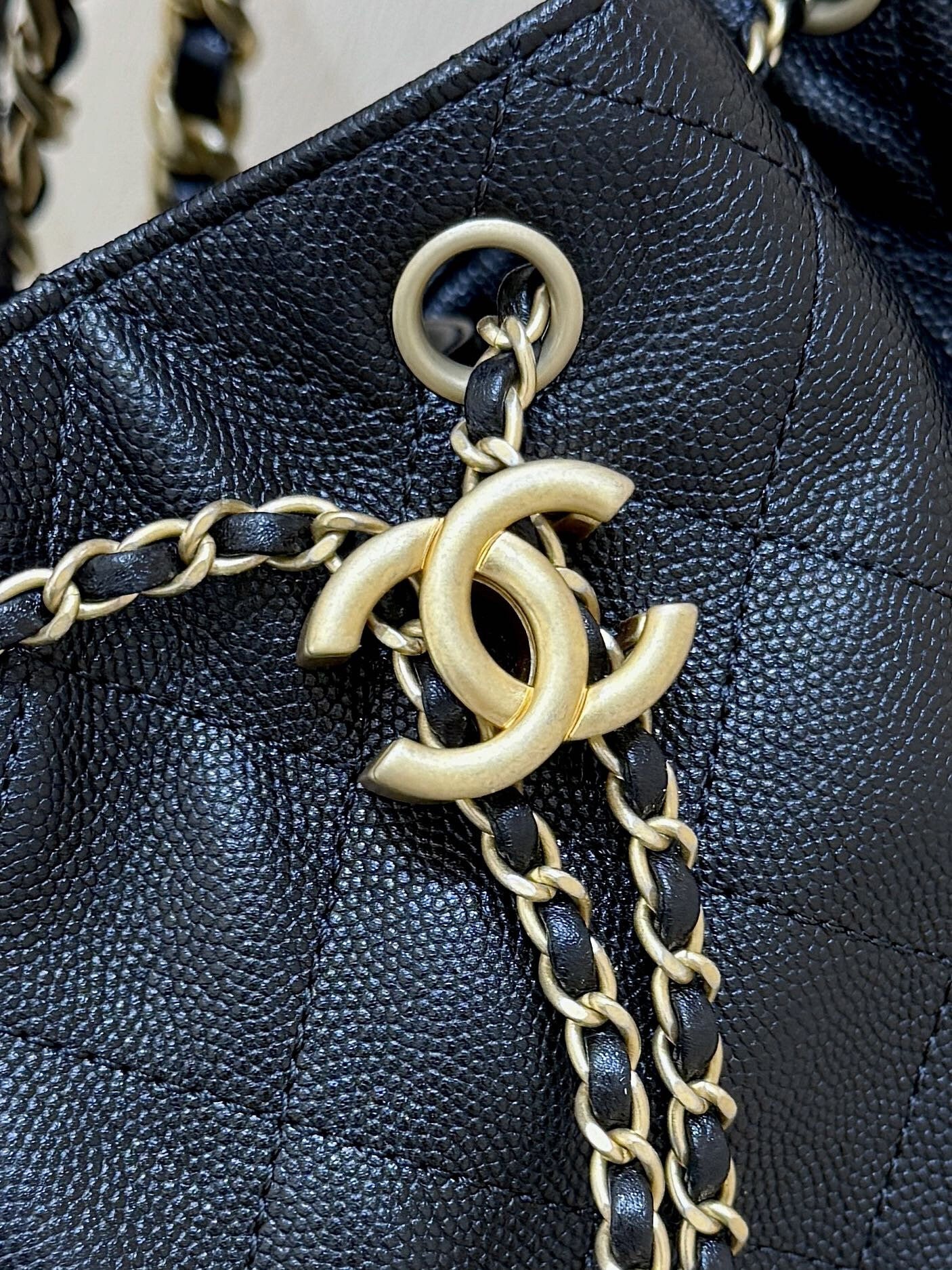 CC 25 Small Hobo Bag Black